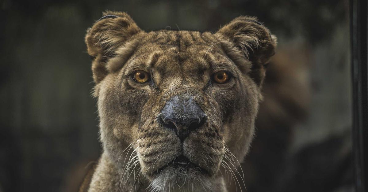 big mistakes netflix 2026 streaming guide